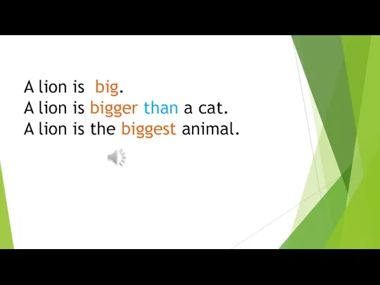 A lion is big. A lion is bigger than a cat. A