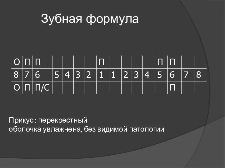 Прикус : перекрестный оболочка увлажнена, без видимой патологии Зубная формула