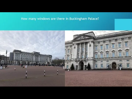 How many windows are there in Buckingham Palace?