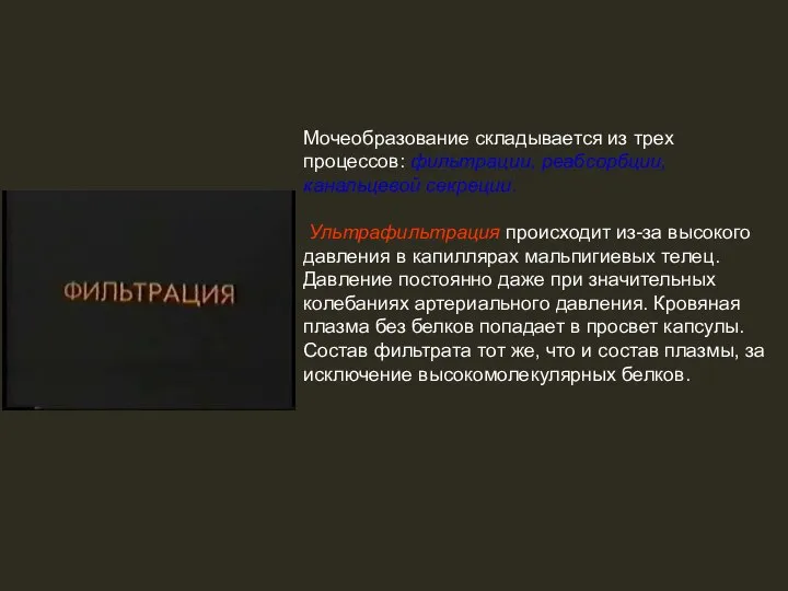 Мочеобразование складывается из трех процессов: фильтрации, реабсорбции, канальцевой секреции. Ультрафильтрация происходит из-за