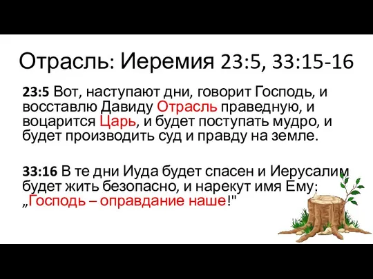 Отрасль: Иеремия 23:5, 33:15-16 23:5 Вот, наступают дни, говорит Господь, и восставлю