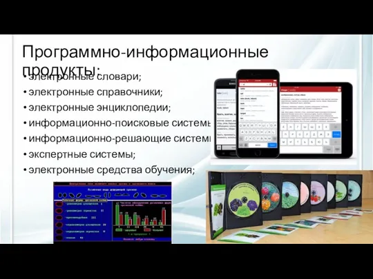 Программно-информационные продукты: электронные словари; электронные справочники; электронные энциклопедии; информационно-поисковые системы; информационно-решающие системы;