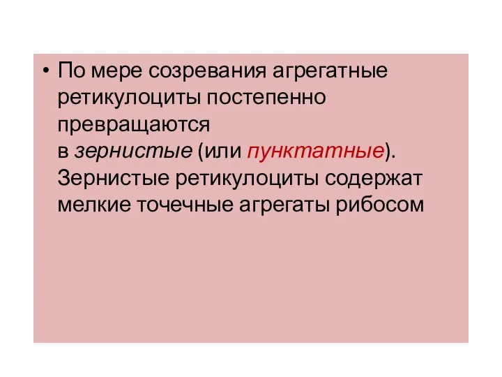 По мере созревания агрегатные ретикулоциты постепенно превращаются в зернистые (или пунктатные). Зернистые