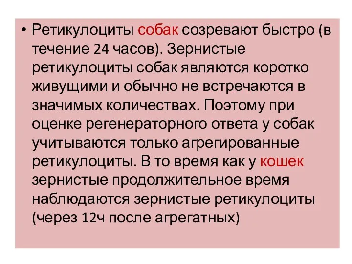 Ретикулоциты собак созревают быстро (в течение 24 часов). Зернистые ретикулоциты собак являются