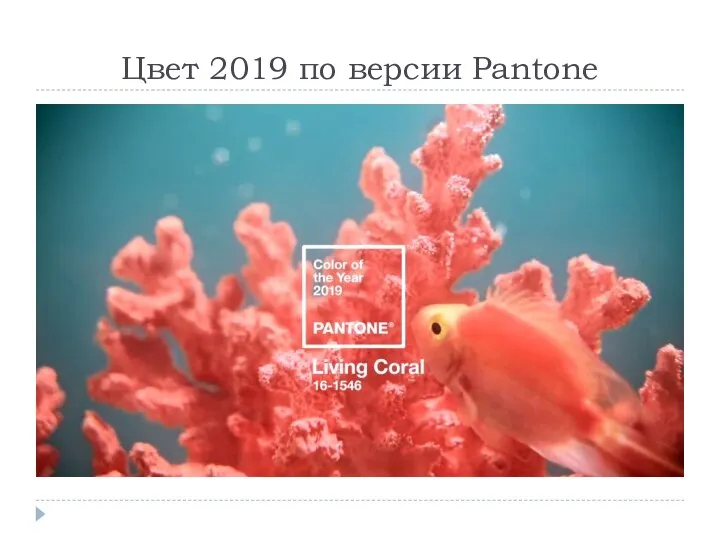 Цвет 2019 по версии Pantone
