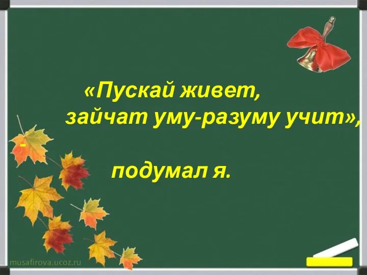 «Пускай живет, зайчат уму-разуму учит», - подумал я.