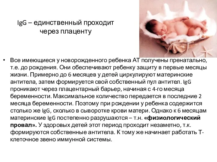 IgG – единственный проходит через плаценту Все имеющиеся у новорожденного ребенка АТ