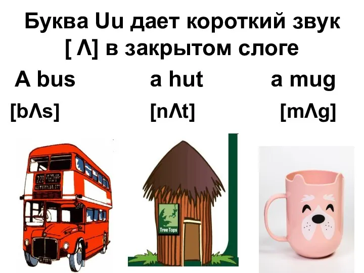 Буква Uu дает короткий звук [ Λ] в закрытом слоге A bus