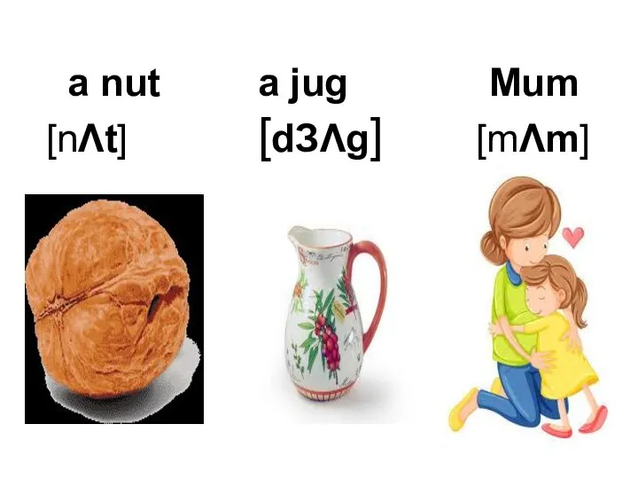 a nut a jug Mum [nΛt] [dЗΛg] [mΛm]