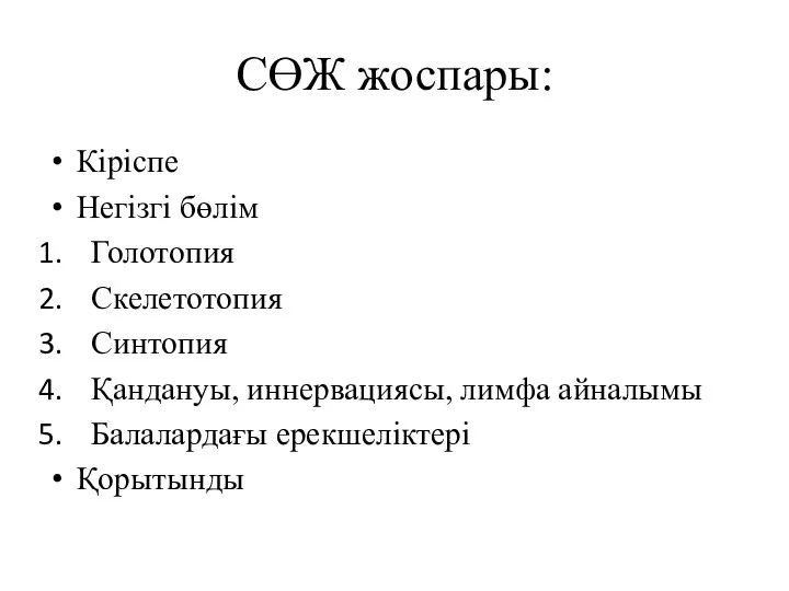 СӨЖ жоспары: Кіріспе Негізгі бөлім Голотопия Скелетотопия Синтопия Қандануы, иннервациясы, лимфа айналымы Балалардағы ерекшеліктері Қорытынды