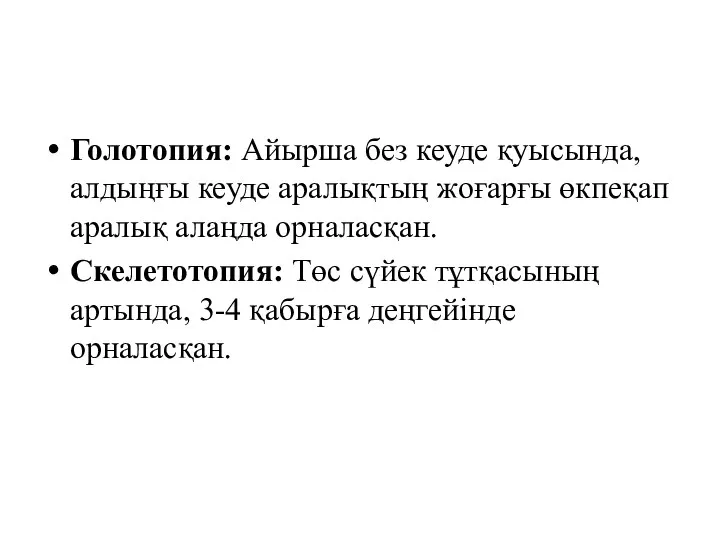 Голотопия: Айырша без кеуде қуысында, алдыңғы кеуде аралықтың жоғарғы өкпеқап аралық алаңда