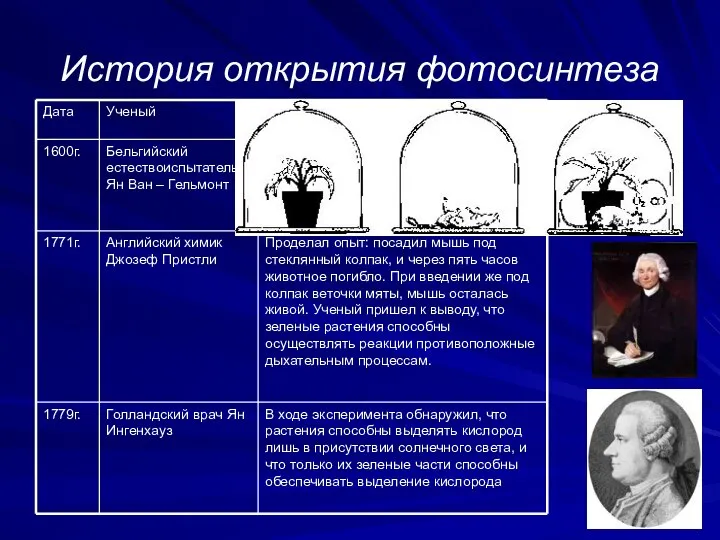 История открытия фотосинтеза