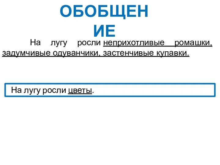 На лугу росли неприхотливые ромашки, задумчивые одуванчики, застенчивые купавки. На лугу росли цветы. ОБОБЩЕНИЕ