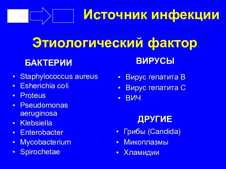 Этиологический фактор Staphylococcus aureus Esherichia coli Proteus Pseudomonas aeruginosa Klebsiella Enterobacter Mycobacterium