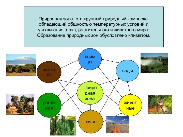 Природная зона- это крупный природный комплекс, обладающий общностью температурных условий и увлажнения,