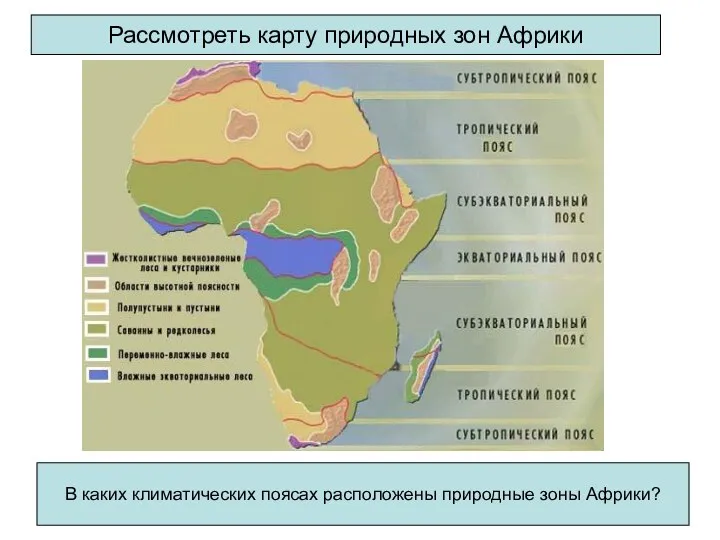 Рассмотреть карту природных зон Африки В каких климатических поясах расположены природные зоны Африки?