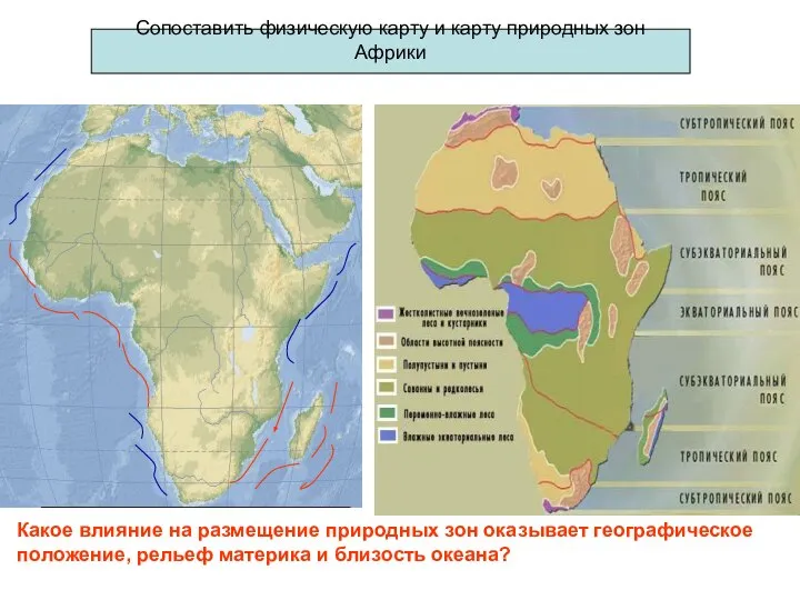 Сопоставить физическую карту и карту природных зон Африки Какое влияние на размещение