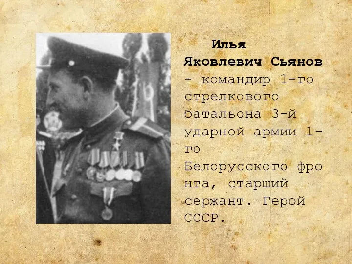Илья Яковлевич Сьянов - командир 1-го стрелкового батальона 3-й ударной армии 1-го