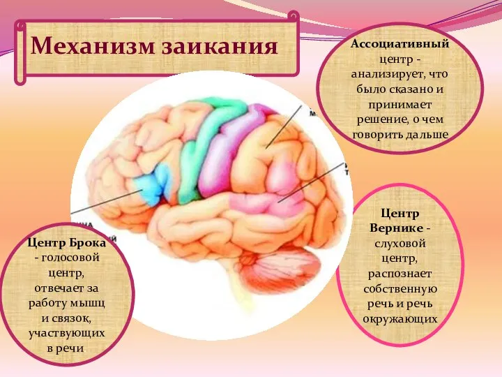 Механизм заикания Центр Вернике - слуховой центр, распознает собственную речь и речь