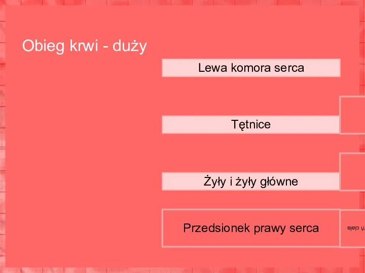 Przedsionek prawy serca Naczynia włosowate dochodzące do wszystkich naczyń ciała Żyły i