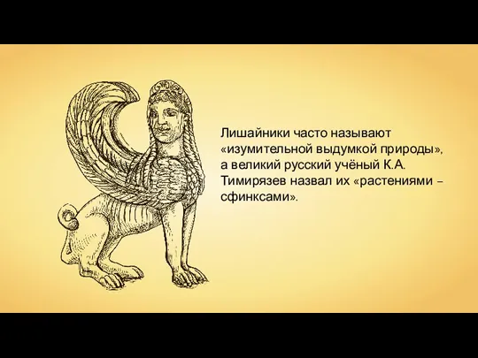 Лишайники часто называют «изумительной выдумкой природы», а великий русский учёный К.А. Тимирязев