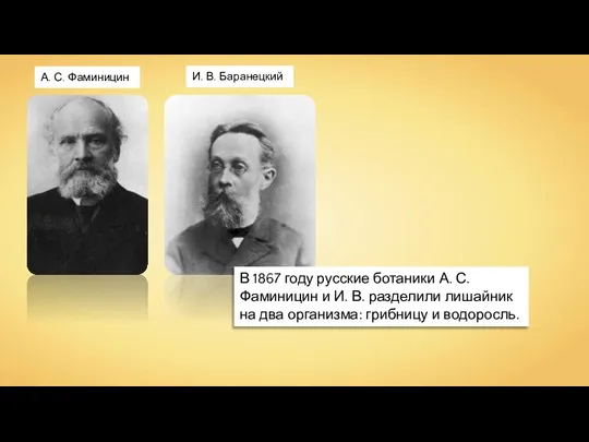 А. С. Фаминицин И. В. Баранецкий В 1867 году русские ботаники А.