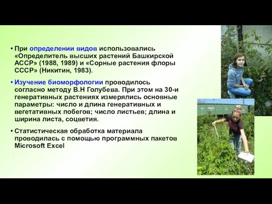 При определении видов использовались «Определитель высших растений Башкирской АССР» (1988, 1989) и