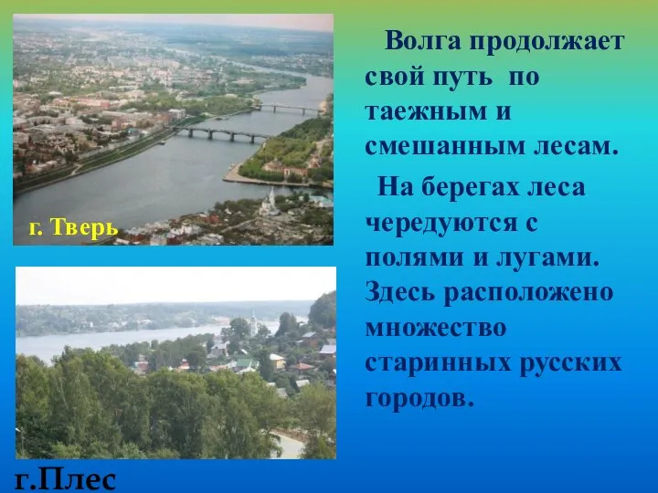 Волга продолжает свой путь по таежным и смешанным лесам. На берегах леса