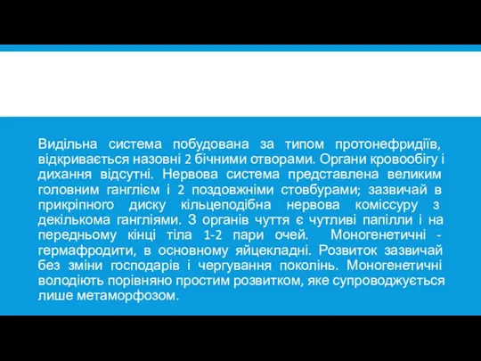 Видільна система побудована за типом протонефридіїв, відкривається назовні 2 бічними отворами. Органи