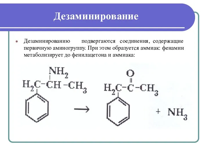Дезаминирование Дезаминированию подвергаются соединения, содержащие первичную аминогруппу. При этом образуется аммиак: фенамин