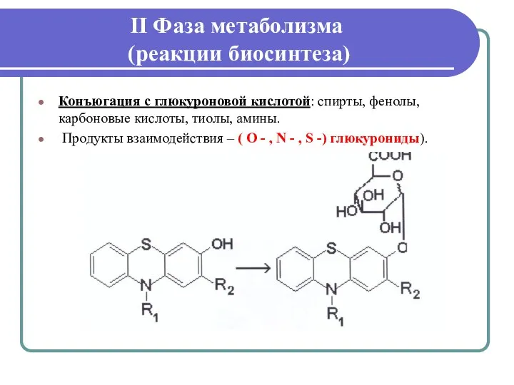 II Фаза метаболизма (реакции биосинтеза) Конъюгация с глюкуроновой кислотой: спирты, фенолы, карбоновые
