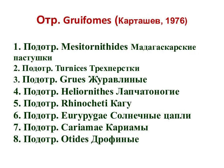 Отр. Gruifomes (Карташев, 1976) 1. Подотр. Mesitornithides Мадагаскарские пастушки 2. Подотр. Turnices