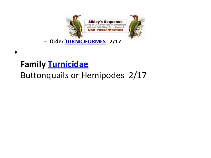 Order TURNICIFORMES 2/17 Family Turnicidae Buttonquails or Hemipodes 2/17