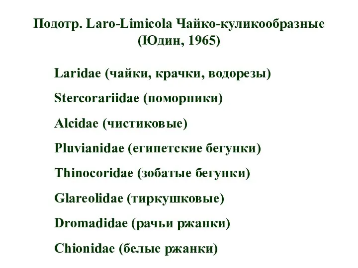 Подотр. Laro-Limicola Чайко-куликообразные (Юдин, 1965) Laridae (чайки, крачки, водорезы) Stercorariidae (поморники) Alcidae