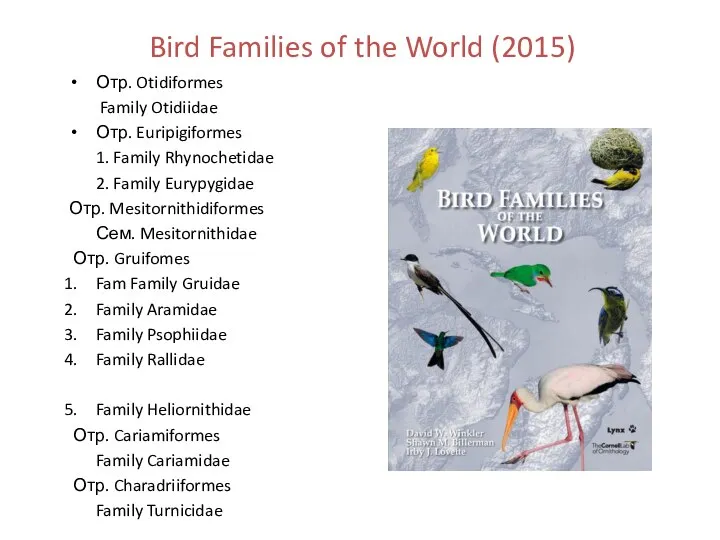 Bird Families of the World (2015) Отр. Otidiformes Family Otidiidae Отр. Euripigiformes