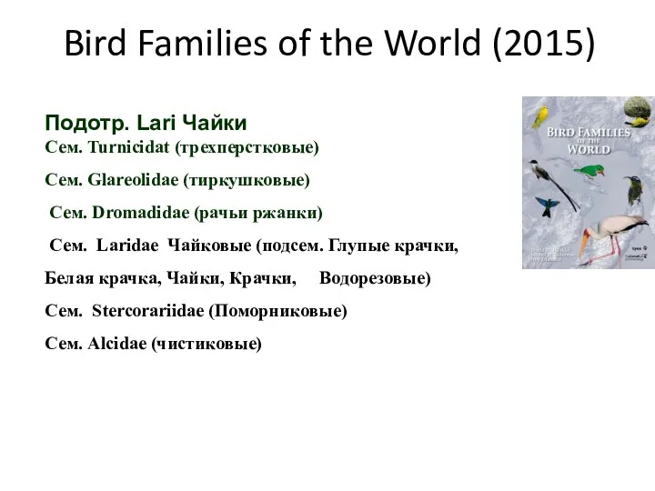 Bird Families of the World (2015) Подотр. Lari Чайки Сем. Turnicidat (трехперстковые)