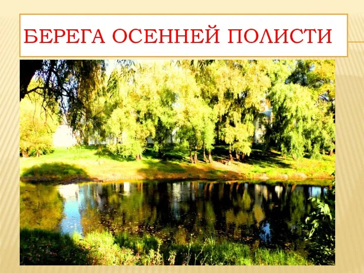 БЕРЕГА ОСЕННЕЙ ПОЛИСТИ