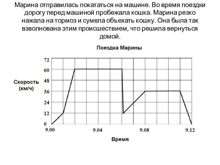 Марина отправилась покататься на машине. Во время поездки дорогу перед машиной пробежала