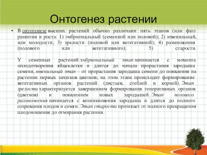 Онтогенез растении В онтогенезе высших растений обычно различают пять этапов (или фаз)