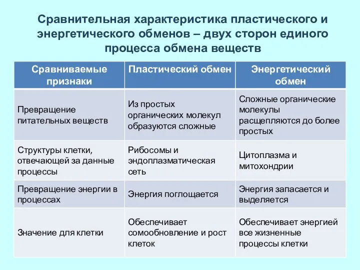 Сравнительная характеристика пластического и энергетического обменов – двух сторон единого процесса обмена веществ