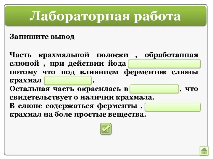 Лабораторная работа Часть крахмальной полоски , обработанная слюной , при действии йода