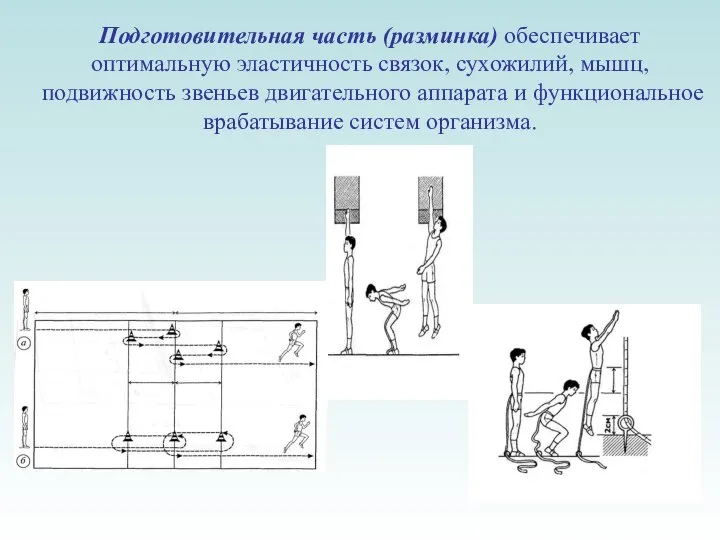 Подготовительная часть (разминка) обеспечивает оптимальную эластичность связок, сухожилий, мышц, подвижность звеньев двигательного