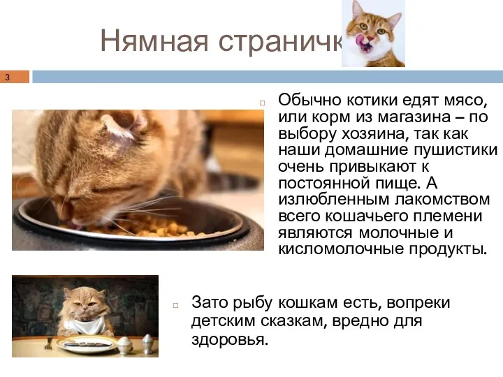 Нямная страничка Обычно котики едят мясо, или корм из магазина – по
