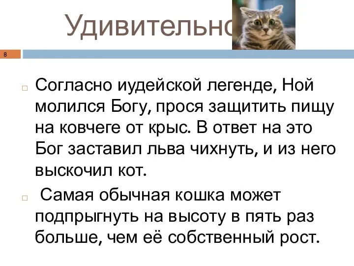 Удивительно Согласно иудейской легенде, Ной молился Богу, прося защитить пищу на ковчеге