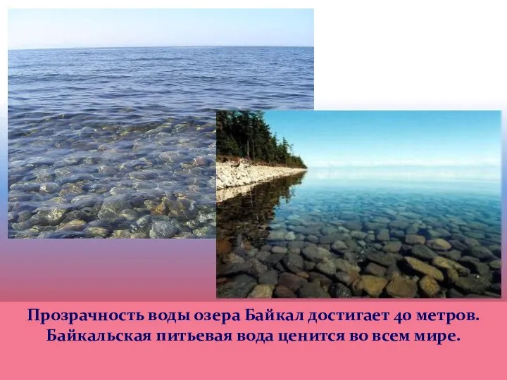 Прозрачность воды озера Байкал достигает 40 метров. Байкальская питьевая вода ценится во всем мире.