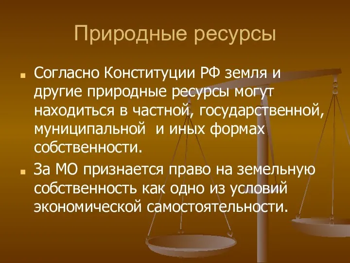 Природные ресурсы Согласно Конституции РФ земля и другие природные ресурсы могут находиться