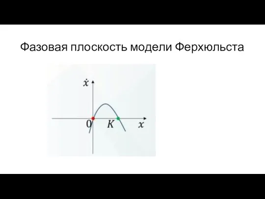 Фазовая плоскость модели Ферхюльста