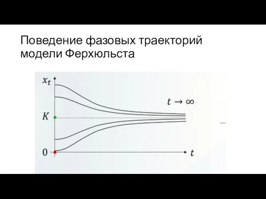 Поведение фазовых траекторий модели Ферхюльста