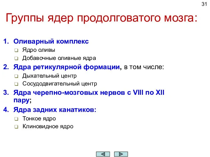 Группы ядер продолговатого мозга: Оливарный комплекс Ядро оливы Добавочные оливные ядра Ядра