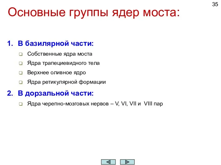 Основные группы ядер моста: В базилярной части: Собственные ядра моста Ядра трапециевидного